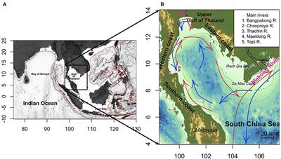 Influences of tropical monsoon and El Niño Southern Oscillations on surface chlorophyll-a variability in the Gulf of Thailand